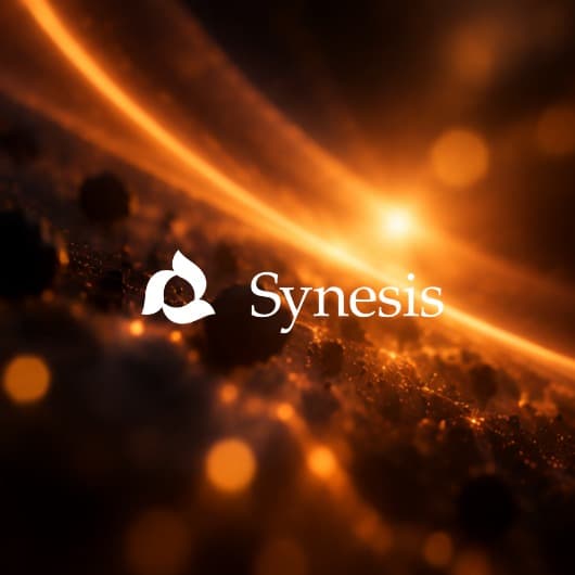 Synesis — マルチモーダル