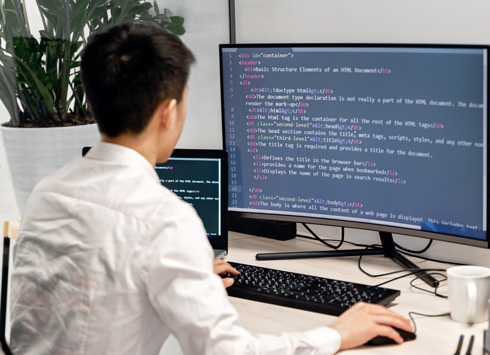 AI Solution Development